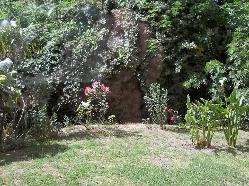 Omi Kika B&B บียารีกา ห้อง รูปภาพ