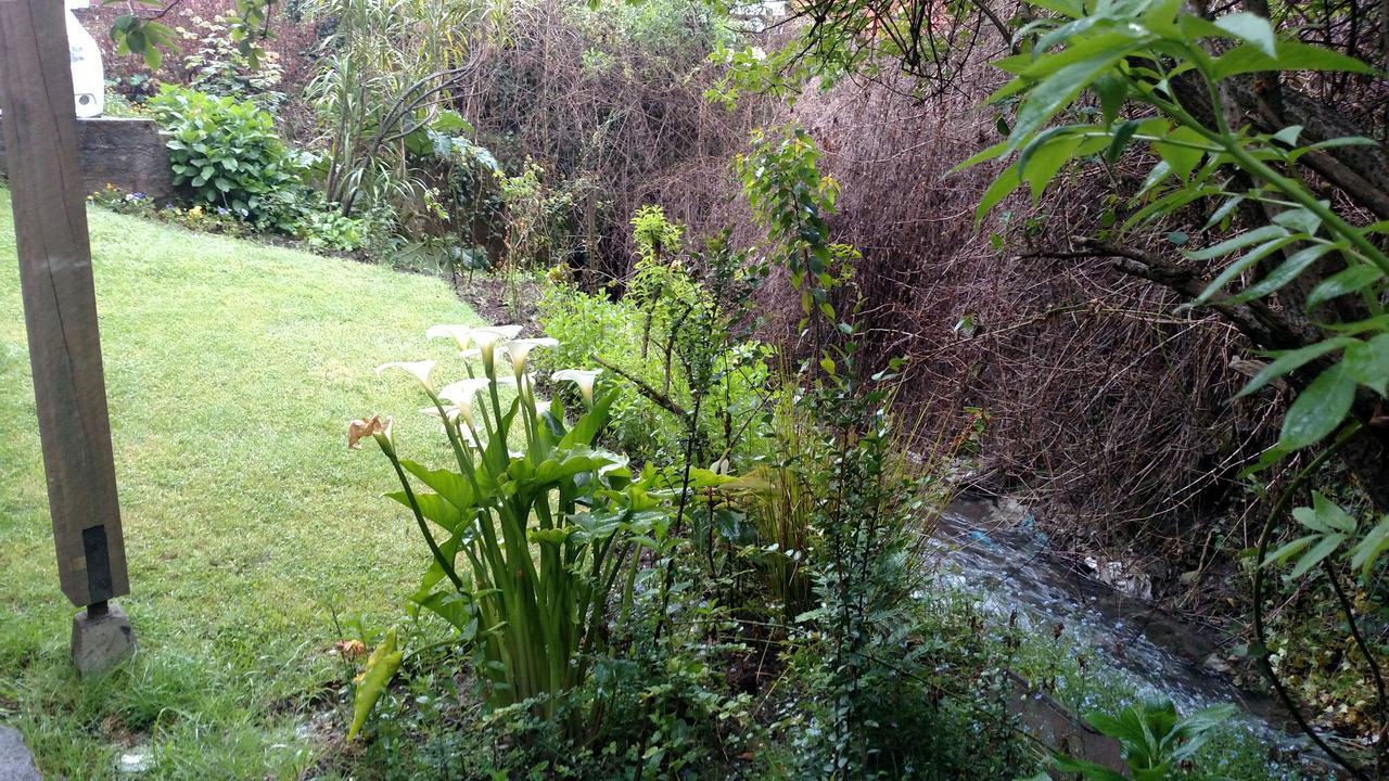 Omi Kika B&B บียารีกา ภายนอก รูปภาพ